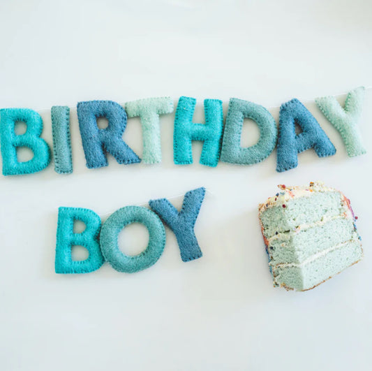 BIRTHDAY BOY | Wool Felt Garland